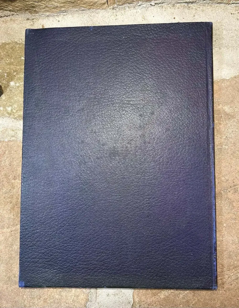 Camden New Jersey Roaring 20s 1924 Antique Year book The Purple And Gold